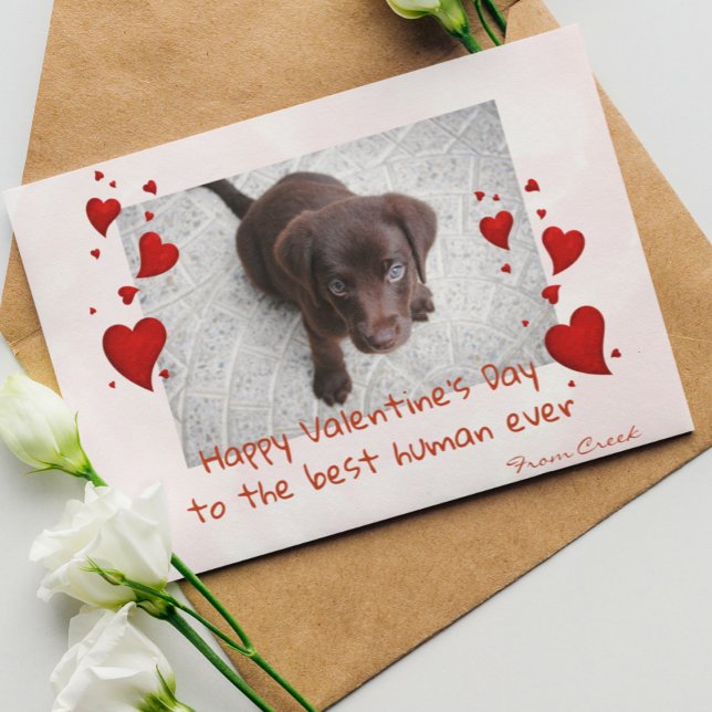 Pet Photo Template  Valentine's day Customise Card (Creator Uploaded)
