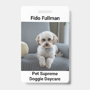 Pet Photo with Name and Doggie Daycare Badge ID Badge