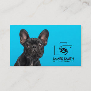 Pet Photographer - Animal Photography Business Card