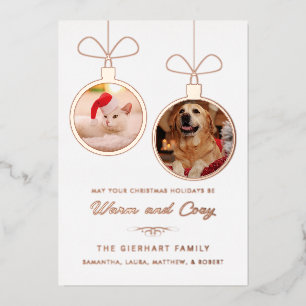 Pet Photos Dog and Cat Christmas Holidays
