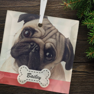Pet Photos on Cute Dog Bone Add Name Glass Tree Decoration
