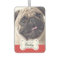 Pet Photos on Dog Bone Name Plate Car