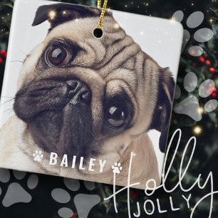 Pet Photos on Dog Paws Name Plate Ceramic Ornament