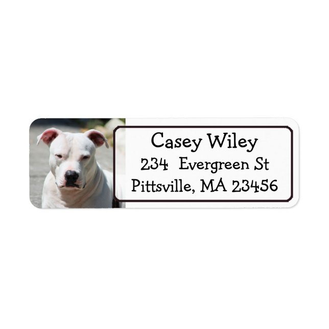 Pet Pitbull Dog Address Label (Front)