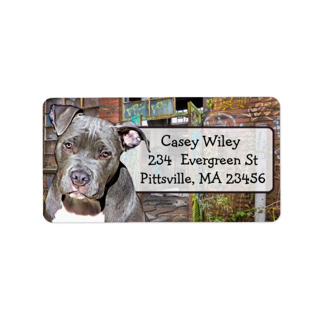 Pet Pitbull Dog Graffiti background  Address Label (Front)