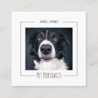 Pet Portrait Photographer