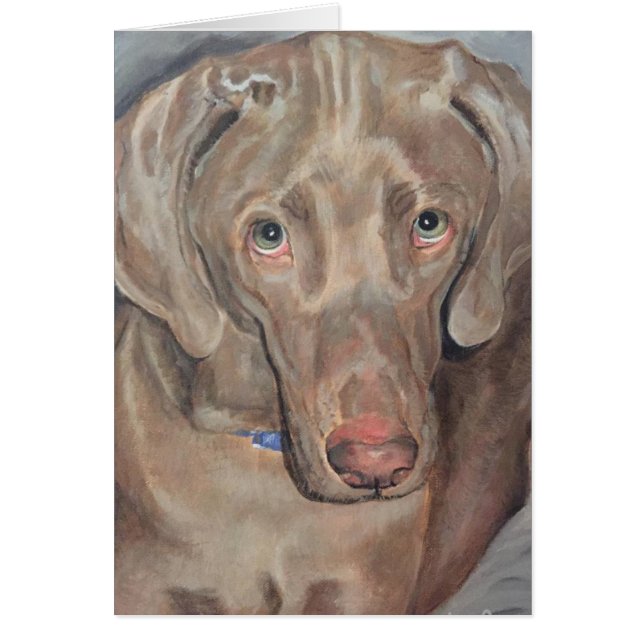 Pet Portrait - Weimaraner (Front)