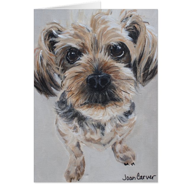 Pet Portrait - Yorkshire Terrier (Front)