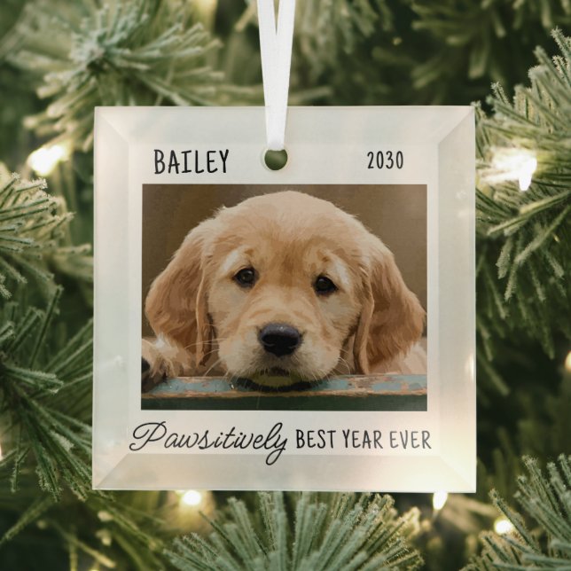 Pet Puppy Dog Custom Photo Year In Review Glass Tree Decoration (Insitu)