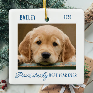 Pet Puppy Simple Personalised Dog Photo Ceramic Ornament