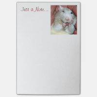 Pet Rat Bridget Post It Notes