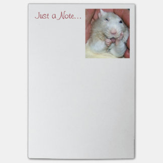Pet Rat Bridget Post It Notes