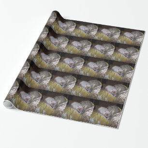 Pet Rat Duncan Wrapping Paper