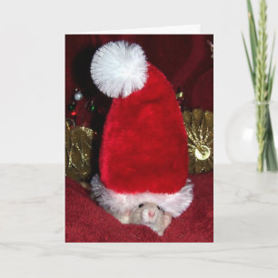 Pet Rat Holiday Greeting Card