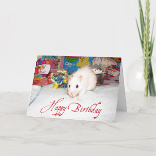 Pet Rat Marta Birthday Card