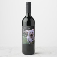pet reason you drink naught dog vet dog walker