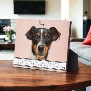 Pet Remembrance Keepsake Forever in Our Hearts Plaque