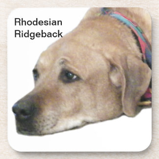Pet Rhodesian Ridgeback Dog Picture Coaster