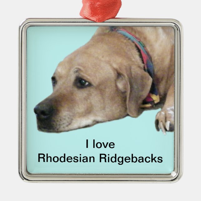 Pet Rhodesian Ridgeback Dog Picture Metal Tree Decoration (Front)