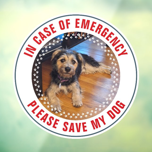 Pet Safety Alert Custom Dog Photo First Responder (Sheet 3)