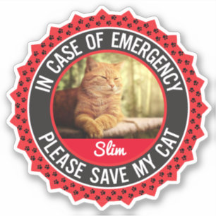 Pet Safety Alert In Case of Emergency Cat Kitten