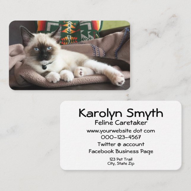 Pet Service Glamourous Kitten Photograph Template Business Card (Front/Back)