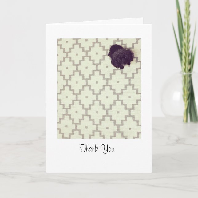 Pet Sitter Thank You Card (Front)