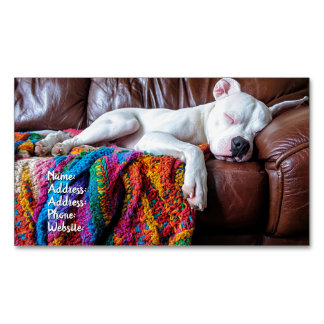Pet Sitting Business Dog Sleeping on the Couch Magnetic Business Card