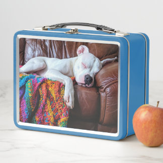 Pet Sitting Business Dog Sleeping on the Couch Metal Lunch Box