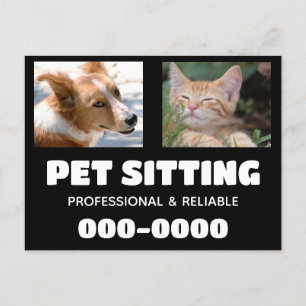 Pet Sitting business with dog and cat photos Postcard