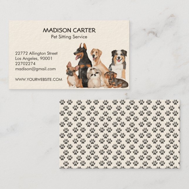 Pet Sitting Service  Business Card (Front/Back)
