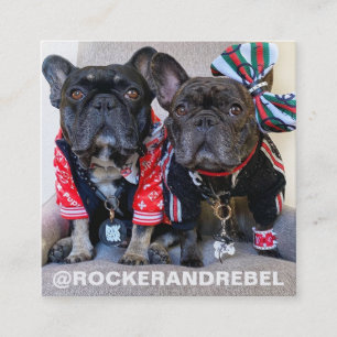 Pet Star   Modern Minimalist Simple Photo and Logo Square Business Card