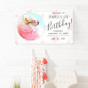 Pet Star   Photo Dog Birthday Party Stars Banner