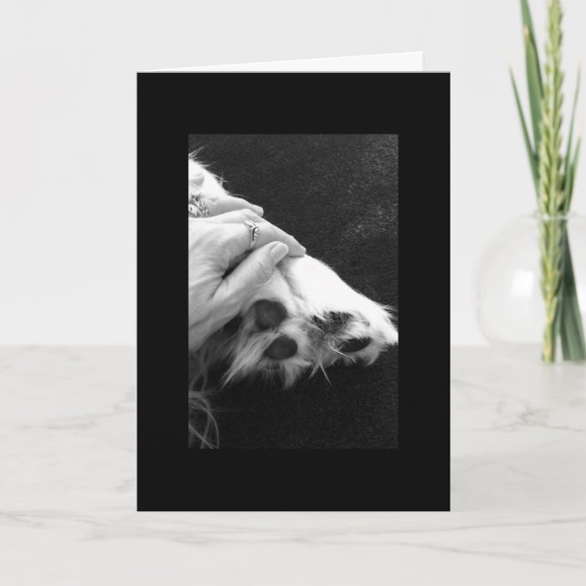 Pet sympathy card (Front)