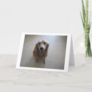 Pet Sympathy Card - "female"