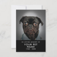 Pet Sympathy cards