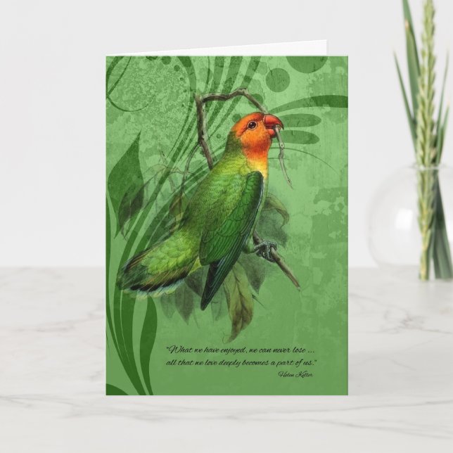 Pet Sympathy Loss of a Bird Lovebird Card (Front)