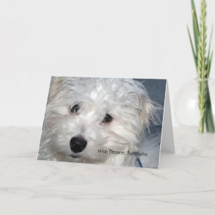 Pet Sympathy -  loss of a Dog Card