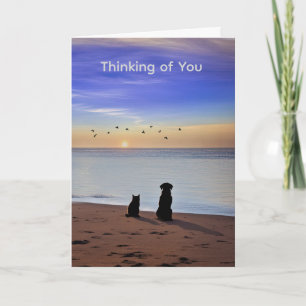 Pet Sympathy Loss of Cat or Dog Silhouetted Beach Card