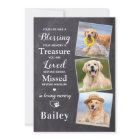 Pet Sympathy Personalised 3 Photo Dog Memorial