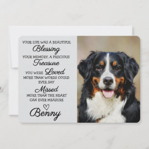 Pet Sympathy Personalised Photo Pet Loss Card