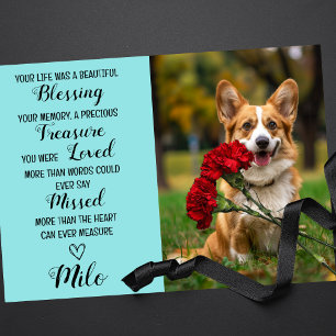 Pet Sympathy Personalised Photo Pet Loss Card