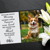 Pet Sympathy Personalised Photo Pet Loss Card