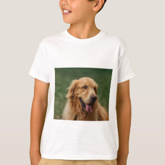 pet t-shirt