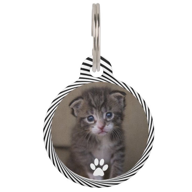 PET TAG (Back)