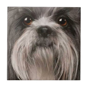 pet tile 2