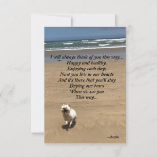 Pet Tribute - I will always think of you this way RSVP Card