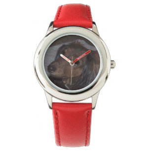 Pet Watch