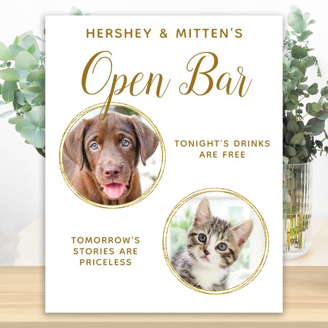 Pet Wedding Dog Open Bar Photo Elegant Gold Drinks Poster (Creator Uploaded)