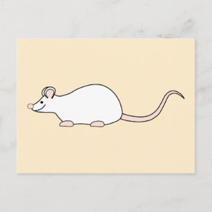 Pet White Mouse. Postcard